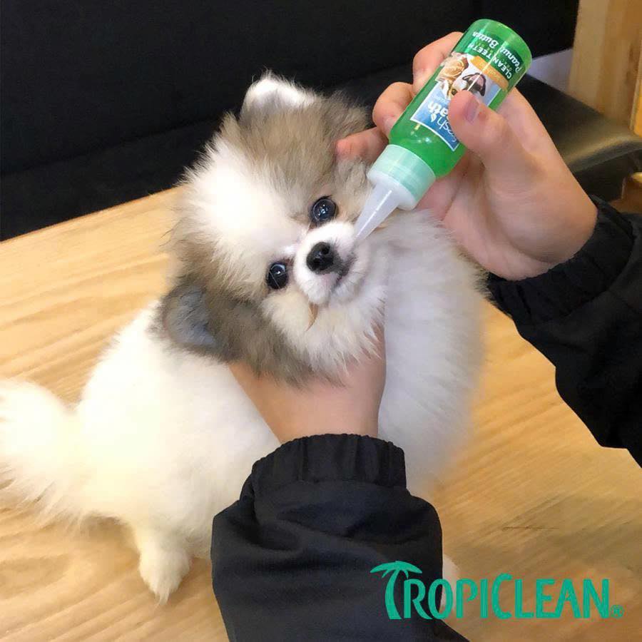 [🆕🇻🇳] Hello Petshop – Thức ăn & Phụ kiện thú cưng 🐶🦜 Top1Pets 🐱🐠 Ngoan xinh yêu oánh răng hoy nào
—-
Gel răng miệng #tropiclean – Khử mùi hôi miệng, giảm cao răng ố vàng
, shares-0✔️ , likes-4❤️️ , date-2025-08-23 02:00:12🐶🐱🇻🇳🇻🇳🇻🇳📰🆕