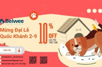 [🆕🇻🇳] Belwee Pet Clinic – Phòng Khám Thú Y Belwee Cơ Sở 4 🐶🦜 Top1Pets 🐱🐠  QUỐC KHÁNH – ƯU ĐÃI CHO BOSS YÊU!Quốc khánh 2/9 này, Belwee vẫn mở cửa phục vụ xuyên lễ để các bé thú cưng luôn được chăm sóc chu đáo.Đặc biệt, Belw , shares-0✔️ , likes-1❤️️ , date-2025-08-27 19:26:33🐶🐱🇻🇳🇻🇳🇻🇳📰🆕