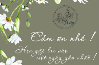 [🆕🇻🇳]  Cỏ Đậu – Thời trang trẻ em 🧑‍🧒❤️️👶⭐️  Tạm biệt & Cảm ơnSau một hành trình nhỏ xinh cùng các bé yêu từ 1-6 tuổi, shop xin gửi lời cảm ơn chân thành đến ba mẹ đã luôn đồng hành và ủng hộ tụi  , shares-1✔️ , likes-5❤️️ , date-2025-09-01 06:41:13🇻🇳🇻🇳🇻🇳📰🆕