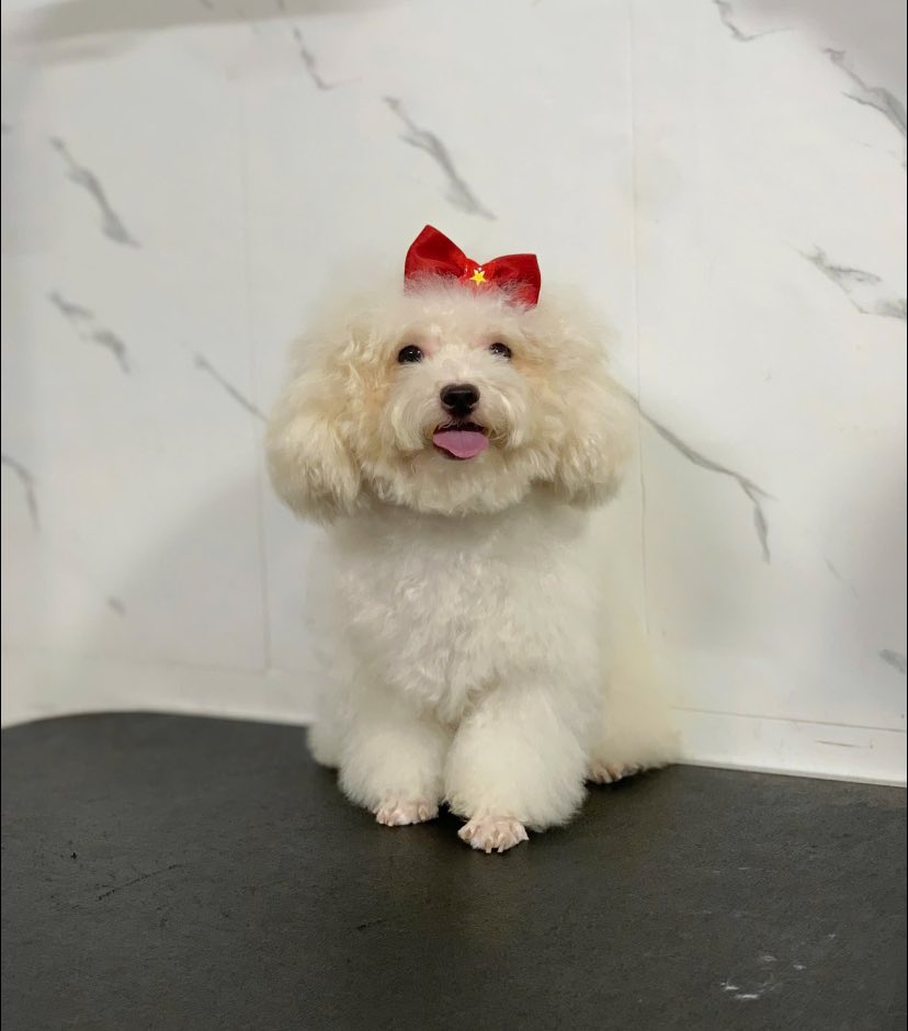 [🆕🇻🇳] Pate Tươi Bún Đậu Mắm Meo 🐶🦜 Top1Pets 🐱🐠 Bếp em nấu Pate như thường hỏng có nghỉ đâu nhe cả nhà ơii, bếp nấu trả đơn 2-3ngày/ tuần nên hơi ít đăng bài thui ạ
(Khách đặt Pate qua Group, khách chưa  , shares-0✔️ , likes-2❤️️ , date-2025-09-03 18:14:52🐶🐱🇻🇳🇻🇳🇻🇳📰🆕