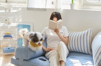 [🆕🇻🇳]  Đệm trẻ em đa năng Hàn Quốc – Korean Bumper Bed 🧑‍🧒❤️️👶⭐️  Biến không gian của bạn thành ốc đảo thư giãn với bộ đệm ngồi bệt siêu xinh!Bạn đang tìm kiếm mảnh ghép hoàn hảo cho tổ ấm? Đừng bỏ lỡ bộ đệm ngồi bệt  , shares-1✔️ , likes-1❤️️ , date-2025-09-09 04:13:23🇻🇳🇻🇳🇻🇳📰🆕