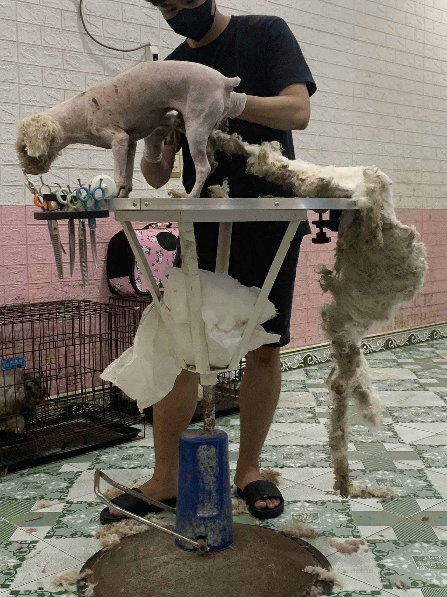 [🆕🇻🇳] Love Pet – Cửa Hàng Chăm Sóc Thú Cưng Hải Phòng 🐶🦜 Top1Pets 🐱🐠 Love pet đang thu hoạch lông cừuCác sen cứ việc lên lịch còn việc đưa đón cứ để shop lo
4B Phố Mới, Tân Dương, Thuỷ Nguyên, Hải Phòng
0904.498.302
, shares-1✔️ , likes-7❤️️ , date-2025-09-07 22:01:39🐶🐱🇻🇳🇻🇳🇻🇳📰🆕