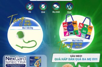 [🆕🇻🇳] Bệnh Viện thú y Nicepet 15 Hồng Tiến 🐶🦜 Top1Pets 🐱🐠  LIÊN MINH TOÀN DIỆN – KÝ SINH TAN BIẾN
Bảo vệ boss yêu khỏi ve, ghẻ, bọ chét và giun với NexGard Spectra & NexGard ComboQuà tặng hấp dẫn:
• Mua 1 vi , shares-0✔️ , likes-1❤️️ , date-2025-09-09 21:34:01🐶🐱🇻🇳🇻🇳🇻🇳📰🆕