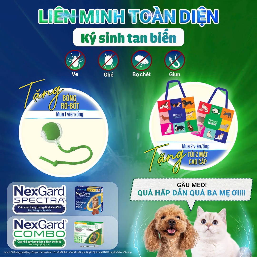 [🆕🇻🇳] Bệnh Viện thú y Nicepet 15 Hồng Tiến 🐶🦜 Top1Pets 🐱🐠  LIÊN MINH TOÀN DIỆN – KÝ SINH TAN BIẾN
Bảo vệ boss yêu khỏi ve, ghẻ, bọ chét và giun với NexGard Spectra & NexGard ComboQuà tặng hấp dẫn:
• Mua 1 vi , shares-0✔️ , likes-1❤️️ , date-2025-09-09 21:34:01🐶🐱🇻🇳🇻🇳🇻🇳📰🆕