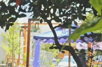 [☕️🇻🇳] Love Beach Coffee and Milktea- Cafe biển 🥤 Top1Coffee ☕️  , shares-0✔️ , likes-0❤️️ , date-2025-09-14 22:35:30🇻🇳🇻🇳🇻🇳📰🆕