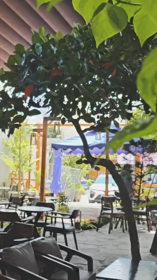 [☕️🇻🇳] Love Beach Coffee and Milktea- Cafe biển 🥤 Top1Coffee ☕️  , shares-0✔️ , likes-0❤️️ , date-2025-09-14 22:35:30🇻🇳🇻🇳🇻🇳📰🆕