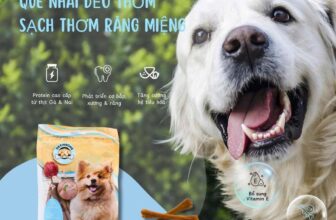 [🆕🇻🇳] Pet Store & Spa – Nhà Phô Mai – The home for pets 🐶🦜 Top1Pets 🐱🐠  BỘ 3 SIÊU PHẨM DEXINBONE – MÓN NGON KHÓ CƯỠNG CHO BOSS CƯNG!Vị Thịt Gà – Thơm ngon, dễ tiêu hóa
Vị Thịt Nai – Giàu dưỡng chất tự nhiên
Combo 3 gói s , shares-0✔️ , likes-4❤️️ , date-2025-09-17 19:36:20🐶🐱🇻🇳🇻🇳🇻🇳📰🆕