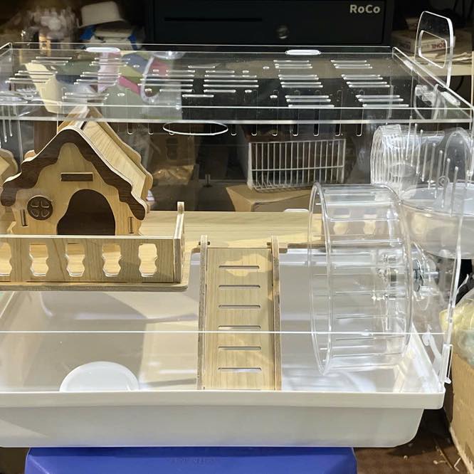 [🆕🇻🇳] Cocapet – Phụ Kiện & Lồng Hamster Hà Nội và Hồ Chí Minh 🐶🦜 Top1Pets 🐱🐠 Set lồng hamster xinh xắn phù hợp cho các bé ạ
Gií hạt dẻ ạ#hamster #hamstergram #hamsterfood #hamsterbear #hamsterHanoi #cocapet #hamstercare #hamsterw , shares-0✔️ , likes-0❤️️ , date-2025-09-17 22:43:05🐶🐱🇻🇳🇻🇳🇻🇳📰🆕