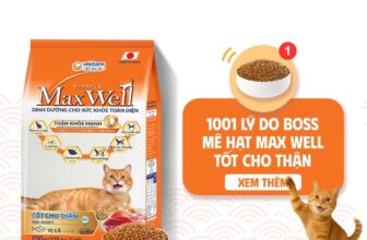 [🆕🇻🇳] Max Well VN – thức ăn cho mèo thuộc tập đoàn Unicharm, Nhật Bản 🐶🦜 Top1Pets 🐱🐠 1001  LÝ DO BOSS MÊ HẠT MAX WELL TỐT CHO THẬNGiàu dinh dưỡng, tốt cho thận
Sản xuất theo tiêu chuẩn Nhật Bản
Mua 1 được 7 lợi ích sức khỏeXem cli , shares-2✔️ , likes-60❤️️ , date-2025-09-19 02:01:59🐶🐱🇻🇳🇻🇳🇻🇳📰🆕