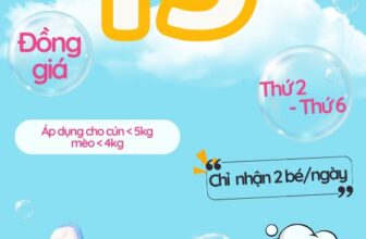 [🆕🇻🇳] Phòng khám thú y FairyPet 🐶🦜 Top1Pets 🐱🐠 𝐒𝐏𝐀 𝐆𝐈̀ 𝐌𝐀̀ 𝐂𝐎́ 𝟏𝟗𝐊Không nhầm đâu cả nhà ơi. 𝐂𝐮́𝐧 𝐌𝐢𝐮 đến 𝐅𝐀𝐈𝐑𝐘 𝐏𝐄𝐓 spa chỉ có 𝟏𝟗𝐊 thôi. Cả nhà nhanh chóng inbox đặt lịch để nhận ngay ưu đãi 𝐒𝐏𝐀 𝟏𝟗𝐊 c , shares-0✔️ , likes-2❤️️ , date-2025-09-19 16:46:27🐶🐱🇻🇳🇻🇳🇻🇳📰🆕