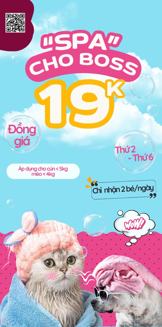 [🆕🇻🇳] Phòng khám thú y FairyPet 🐶🦜 Top1Pets 🐱🐠 𝐒𝐏𝐀 𝐆𝐈̀ 𝐌𝐀̀ 𝐂𝐎́ 𝟏𝟗𝐊Không nhầm đâu cả nhà ơi. 𝐂𝐮́𝐧 𝐌𝐢𝐮 đến 𝐅𝐀𝐈𝐑𝐘 𝐏𝐄𝐓 spa chỉ có 𝟏𝟗𝐊 thôi. Cả nhà nhanh chóng inbox đặt lịch để nhận ngay ưu đãi 𝐒𝐏𝐀 𝟏𝟗𝐊 c , shares-0✔️ , likes-2❤️️ , date-2025-09-19 16:46:27🐶🐱🇻🇳🇻🇳🇻🇳📰🆕