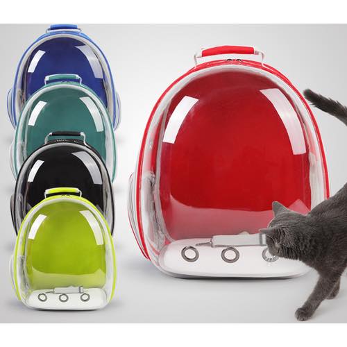 [🆕🇻🇳] Pet Family- cửa hàng thú cưng Tuyên Quang 🐶🦜 Top1Pets 🐱🐠 𝑩𝒂𝒍𝒐 𝒗𝒂̣̂𝒏 𝒄𝒉𝒖𝒚𝒆̂̉𝒏, 𝒕𝒖́𝒊 𝒗𝒂̣̂𝒏 𝒄𝒉𝒖𝒚𝒆̂̉𝒏 𝒕𝒉𝒖́ 𝒄𝒖̛𝒏𝒈——————PetFamily—————–
Số nhà 502 – Đội Cấn – TP Tuyên Quang ( gần ngã 3 z2 )
, shares-9✔️ , likes-2❤️️ , date-2025-09-20 16:48:35🐶🐱🇻🇳🇻🇳🇻🇳📰🆕