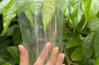 [🆕🇻🇳] In Ly Nhựa TNT PHAN RANG – Cung cấp, thiết kế & in ấn ly nhựa, ly giấy, túi nhựa 🎨 Top1Designs ✨  Ly nhựa 750ml – “Gu ai thích khổng lồ” giữ trọn vị ngon, phù hợp cho những ai mê uống thả ga.
———————————————————— , shares-0✔️ , likes-5❤️️ , date-2025-09-18 16:45:17🇻🇳🇻🇳🇻🇳📰🆕