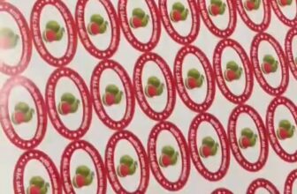 [🆕🇻🇳] In Giá Rẻ – Xưởng In 338 – In tem nhãn, voucher, tờ rơi, catalog 🎨 Top1Designs ✨  20.000 tem lấy ngay trong ngày
Đến với In 338 khách hàng sẽ được
Miễn phí thiết kế
Miễn Phí vận chuyển
Tặng 10% tem cho đơn hàng sau
Xưởng in 338 – 338 , shares-0✔️ , likes-6❤️️ , date-2025-09-20 22:20:35🇻🇳🇻🇳🇻🇳📰🆕