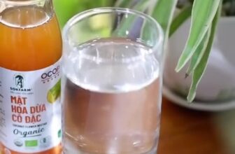 [🆕🇻🇳] Shop Đặc Sản Gò Công 🍔 Top1Food  🍜 Bữa anh chị hỏi em #mật_hoa_dừa sử dụng như thế nào, và mua ở đâu, thì nay em để ở đây nhé ạlink mua hàng:Hoặc bất kỳ NPP nào của #Sokfarm trên toàn q , shares-0✔️ , likes-2❤️️ , date-2025-09-26 19:06:13🇻🇳🇻🇳🇻🇳📰🆕