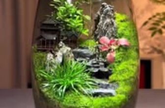 [🆕🇻🇳] Đưa Nhau Đi Khắp Thế Gian – Cùng nhau đi khắp thế gian nhé 🍀 ✈ Top1Travel 🌏✈️  , shares-2✔️ , likes-8❤️️ , date-2025-09-28 17:05:14🇻🇳🇻🇳🇻🇳📰🆕