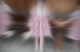 [🆕🇻🇳]  Ngọc Vy Kids 🧑‍🧒❤️️👶⭐️ 𝐌ỗ𝐢 𝐧𝐠à𝐲 𝐦ộ𝐭 𝐨𝐮𝐭𝐟𝐢𝐭 𝐱𝐢𝐧𝐡 𝐜𝐡𝐨 𝐛é
𝐍𝐡ấ𝐧 𝐓𝐇𝐄𝐎 𝐃Õ𝐈 để 𝐤𝐡ô𝐧𝐠 𝐛ỏ 𝐥ỡ 𝐧𝐡𝐚 𝐦ẹ ơ𝐢
#NgocVyKids #ThoiTrangChoBe #MeVaBe #QuanAoMuaHe #DoMacONha #outfitChoBe , shares-0✔️ , likes-1❤️️ , date-2025-09-30 13:01:02🇻🇳🇻🇳🇻🇳📰🆕