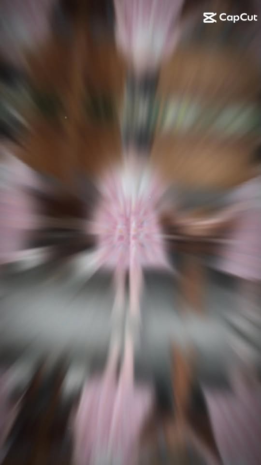 [🆕🇻🇳] Anh Trà Sữa HCM – Chuyên trà sữa trân châu cao cấp, Pizza và Ăn vặt 🍔 Top1Food  🍜 Thông báo: Pizza của Anh Trà Sữa ko có bán trên các App Shopee Food và Grab Food. Quý khách cần Order bánh vui lòng inbox trên fanpage hoăc liên hệ qua zal , shares-0✔️ , likes-2❤️️ , date-2025-05-28 22:47:05🇻🇳🇻🇳🇻🇳📰🆕