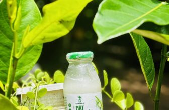 [🆕🇻🇳] Shop Đặc Sản Gò Công 🍔 Top1Food  🍜 Nếu hông có gì thay đổi thì…nay là đầu Quý 4 rùiMật hoa dừa tươi Sokfarm: giàu khoáng, bổ sung năng lượng, bù điện giải, chỉ số đường huyết thấp, lại r , shares-0✔️ , likes-2❤️️ , date-2025-10-01 18:07:11🇻🇳🇻🇳🇻🇳📰🆕