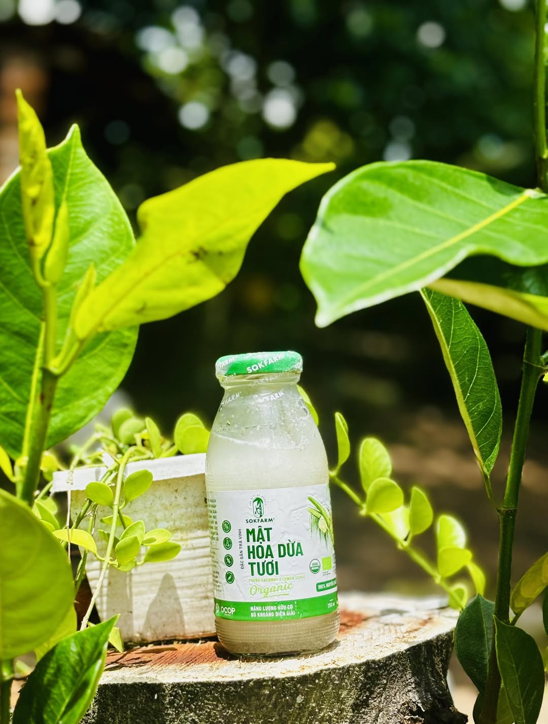 [🆕🇻🇳]  Thủy Thủy – Chuyên Quần Áo Trẻ Em Giá Rẻ 🧑‍🧒❤️️👶⭐️  Set 4 áo zip lông tay dài bé trai – Hình thêu ngựa trước ngực
Chất zip lông mềm mịn, co giãn tốt, mặc ấm mà vẫn thoáng mồ hôi. Form rộng dễ mặc, tay dài c , shares-0✔️ , likes-1❤️️ , date-2025-10-02 05:08:39🇻🇳🇻🇳🇻🇳📰🆕