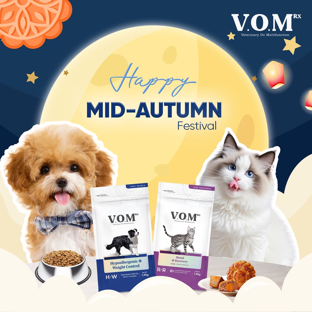 [🆕🇻🇳] Quynh Le Pet Spa  🐶🦜 Top1Pets 🐱🐠 Boy phố xuất hiện  , shares-0✔️ , likes-0❤️️ , date-2025-10-10 23:06:54🐶🐱🇻🇳🇻🇳🇻🇳📰🆕