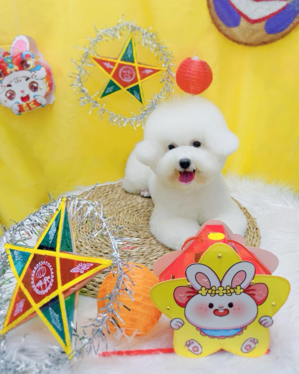 [🆕🇻🇳] NaPet – Cửa Hàng Chăm Sóc & Làm Đẹp Thú Cưng 🐶🦜 Top1Pets 🐱🐠 Hết tết trung thu rồi
Các cháu chuẩn bị lên đồ sang cô đón Halloween thui nào
#Bichon #tiệmthúcưng #groomingspa #poodle #đàotaohocvienchuyennghiep #Spa  , shares-0✔️ , likes-1❤️️ , date-2025-10-08 00:12:17🐶🐱🇻🇳🇻🇳🇻🇳📰🆕