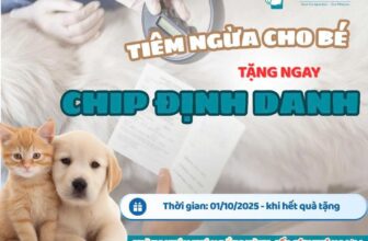 [🆕🇻🇳] Phòng khám Thú y Đồng Hành Cần Thơ 🐶🦜 Top1Pets 🐱🐠 TIÊM NGỪA CHO BÉ, TẶNG NGAY CHIP ĐỊNH DANHCHƯƠNG TRÌNH ÁP DỤNG CHO KHÁCH HÀNG ĐĂNG KÝ TIÊM MỚI VÀ ĐÃ TIÊM NGỪA TẠI PKTY ĐỒNG HÀNHThời gian áp dụng: từ , shares-2✔️ , likes-6❤️️ , date-2025-10-13 22:00:01🐶🐱🇻🇳🇻🇳🇻🇳📰🆕