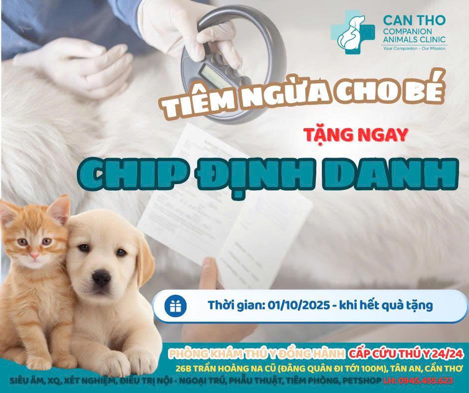 [🆕🇻🇳] Phòng khám Thú y Đồng Hành Cần Thơ 🐶🦜 Top1Pets 🐱🐠 TIÊM NGỪA CHO BÉ, TẶNG NGAY CHIP ĐỊNH DANHCHƯƠNG TRÌNH ÁP DỤNG CHO KHÁCH HÀNG ĐĂNG KÝ TIÊM MỚI VÀ ĐÃ TIÊM NGỪA TẠI PKTY ĐỒNG HÀNHThời gian áp dụng: từ , shares-2✔️ , likes-6❤️️ , date-2025-10-13 22:00:01🐶🐱🇻🇳🇻🇳🇻🇳📰🆕