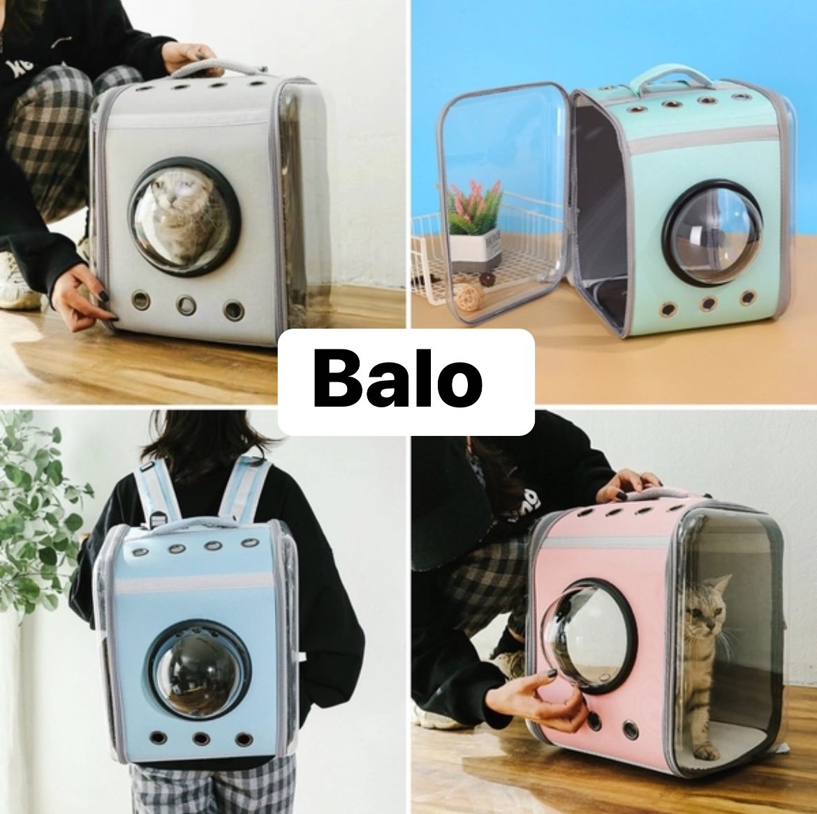 [🆕🇻🇳] Sóc Pet Shop Mua Bán Thú Cưng Spa Phụ Kiện Thức Ăn Phối Giống Chó Mèo 🐶🦜 Top1Pets 🐱🐠 Phụ kiện cho thú cưng
#19nguyenvietxuanbmtdaklak
#socpetbmt #daklak #CATFOOD
#thucung #meow #petlovers #buonmathuot
, shares-0✔️ , likes-1❤️️ , date-2025-10-12 18:00:23🐶🐱🇻🇳🇻🇳🇻🇳📰🆕