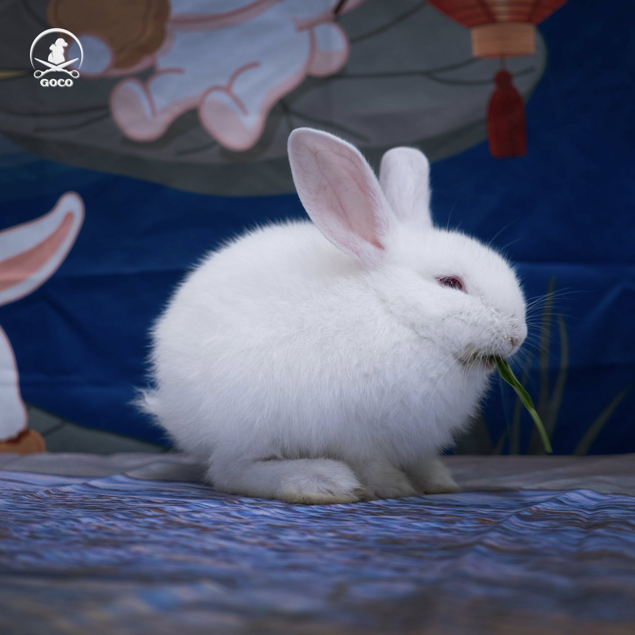 [🆕🇻🇳] NHÀ GỖ CHÓ MÈO 🐶🦜 Top1Pets 🐱🐠 “Không phải chuồng mèo, mà là villa mini của boss
Gỗ HDF cao cấp – thiết kế riêng – cá nhân hóa theo tên từng bé.
Mỗi chiếc chuồng đều có phong cách riêng , shares-0✔️ , likes-2❤️️ , date-2025-10-27 19:13:10🐶🐱🇻🇳🇻🇳🇻🇳📰🆕