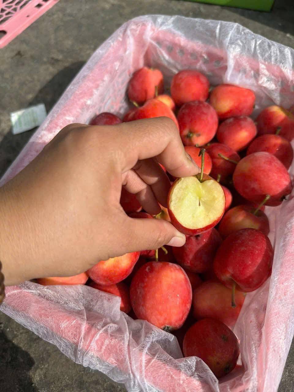 [🆕🇻🇳] Hữu Tài Cake – Bánh In Nhân Dừa Non 🍔 Top1Food  🍜 Bánh in ngày xưa ba mẹ em làm sao giờ em làm vậy  Hữu Tài Cake , shares-0✔️ , likes-6❤️️ , date-2025-10-21 22:58:14🇻🇳🇻🇳🇻🇳📰🆕