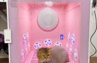 [🆕🇻🇳] TuNa Pet – Tiệm làm đẹp thú cưng 🐶🦜 Top1Pets 🐱🐠 Tuna rinh lồng sấy về phục vụ các khách hàng yêu quý đây ạ. Các khách hàng qua trải nghiệm đi thôi nào
, shares-0✔️ , likes-6❤️️ , date-2025-10-10 23:56:01🐶🐱🇻🇳🇻🇳🇻🇳📰🆕