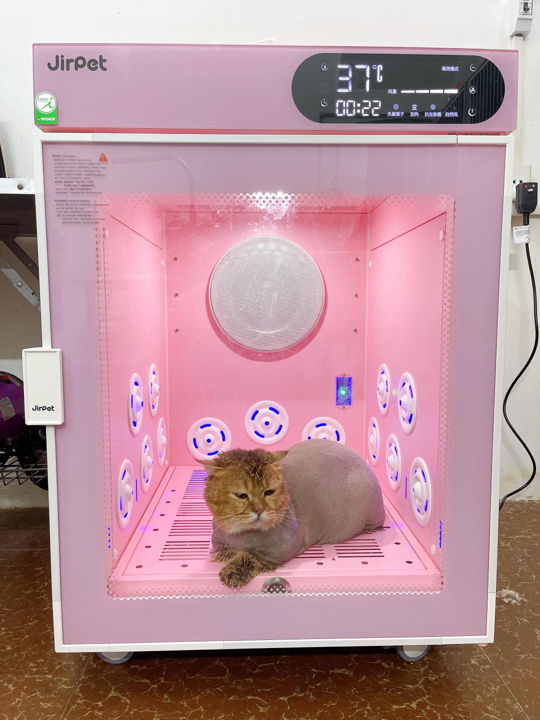 [🆕🇻🇳] TuNa Pet – Tiệm làm đẹp thú cưng 🐶🦜 Top1Pets 🐱🐠 Tuna rinh lồng sấy về phục vụ các khách hàng yêu quý đây ạ. Các khách hàng qua trải nghiệm đi thôi nào
, shares-0✔️ , likes-6❤️️ , date-2025-10-10 23:56:01🐶🐱🇻🇳🇻🇳🇻🇳📰🆕