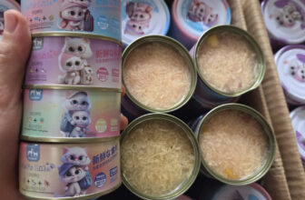 [🆕🇻🇳] Pet Market – Chuyên Bán Buôn – Bán Lẻ Phụ Kiện Chó Mèo 🐶🦜 Top1Pets 🐱🐠 Pate Pet’s Life Sốt Sợi Gà 85g – Công Thức Mới Giảm Vị Chua, Thơm Ngon Bổ Dưỡng
THÔNG TIN SẢN PHẨM
– Trọng lượng: 85g (NET WEIGHT) x10 lon
– Phân loại: 4  , shares-0✔️ , likes-1❤️️ , date-2025-10-04 18:01:45🐶🐱🇻🇳🇻🇳🇻🇳📰🆕