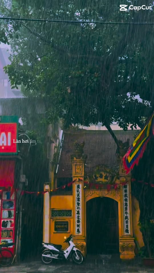 [☕️🇻🇳] GẤU Coffee – Bakery 🥤 Top1Coffee ☕️  , shares-0✔️ , likes-39❤️️ , date-2025-10-07 20:13:12🇻🇳🇻🇳🇻🇳📰🆕