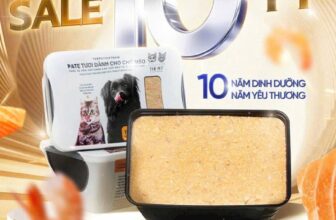 [🆕🇻🇳] Phòng khám Thú – Y CityVet Quận 12 🐶🦜 Top1Pets 🐱🐠 Pate tươi The pet khuyến mãi khủng. Nhanh tay tham gia nhé quý khách
, shares-0✔️ , likes-0❤️️ , date-2025-10-14 20:10:33🐶🐱🇻🇳🇻🇳🇻🇳📰🆕