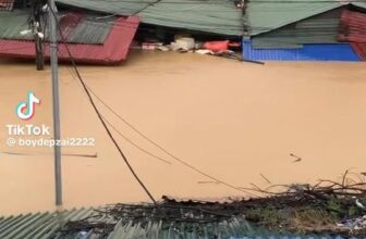 [🆕🇻🇳]  MIU KIDS – Thời Trang Trẻ Em – Xưởng Chuyên Cung cấp các loại quần áo trẻ em theo mùa 🧑‍🧒❤️️👶⭐️ Thương quá Thái Nguyên ơi  , shares-0✔️ , likes-0❤️️ , date-2025-10-10 05:12:04🇻🇳🇻🇳🇻🇳📰🆕