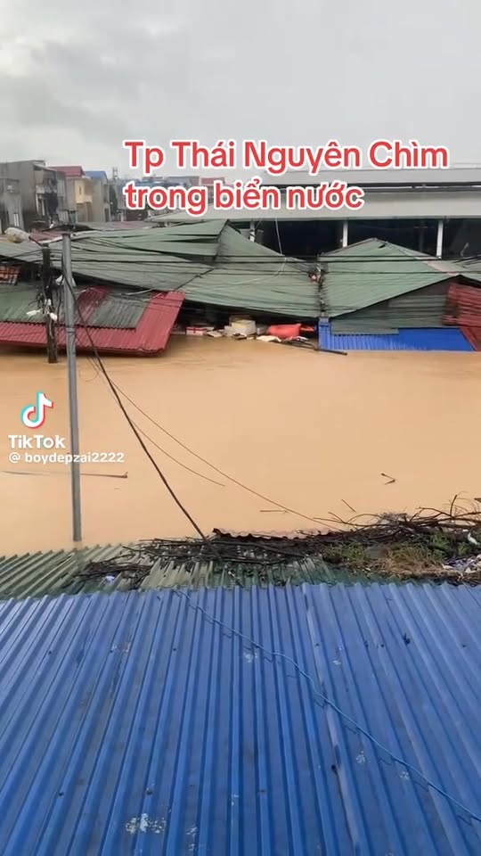 [🆕🇻🇳] AKY Shop mẹ và bé – Chuyên: đồ dùng mẹ và bé,combo sinh,quần áo ,giày dép,xe cho bé các loại 🧑‍🧒❤️️👶⭐️ JOEYNA – JNA5-B238
𝐁𝐎̣̂ 𝐏𝐈𝐙𝐀𝐌𝐀 𝐇𝐎̣𝐀 𝐓𝐈𝐄̂́𝐓 𝐒𝐈𝐄̂𝐔 𝐗𝐈𝐍𝐇
Chất vải thô hàn siu mềm mát,thấm hút mồ hôi, cho bé thoải mái vận động
Họa tiết siêu đáng iu, nố , shares-1✔️ , likes-1❤️️ , date-2025-10-09 21:55:31🇻🇳🇻🇳🇻🇳📰🆕