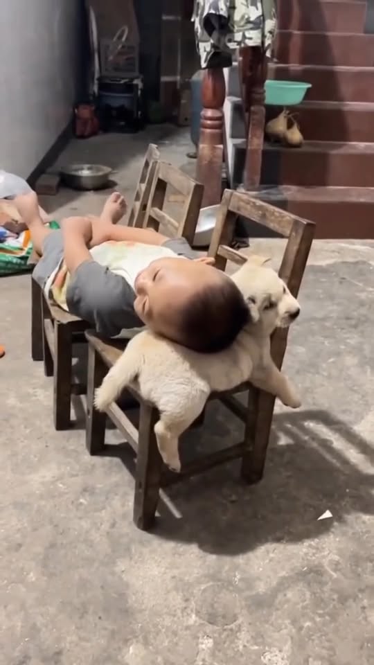 [🆕🇻🇳]  Anany – Xưởng Sản Xuất Quần Áo Trẻ Em Từ Vải VNXK 🧑‍🧒❤️️👶⭐️  QUẦN LEGGING DÀI HOẠ TIẾT XUẤT DƯ SZ 1-10(10-20kg)VÀ SZ 11-20(21-40kg) DỄ THƯƠNG MẪU MỚI
Chất vải cotton 4 chiều Vnxk, quần thấm hút mồ hôi
Size 1-10(10 , shares-0✔️ , likes-4❤️️ , date-2025-10-05 00:49:11🇻🇳🇻🇳🇻🇳📰🆕