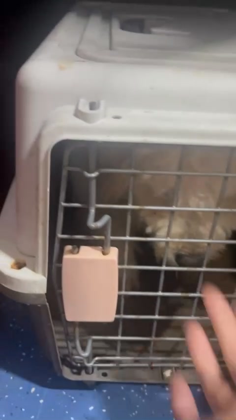 [🆕🇻🇳] An Nhàn Kid Mậu A – Quần áo phụ kiện cho bé 🧑‍🧒❤️️👶⭐️  , shares-0✔️ , likes-1❤️️ , date-2025-11-19 04:19:38🇻🇳🇻🇳🇻🇳📰🆕