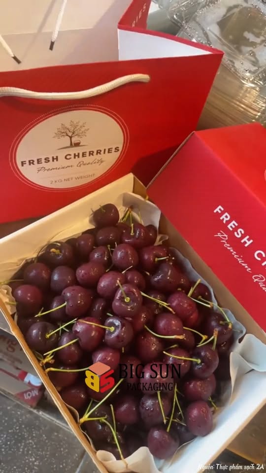 [🆕🇻🇳] TIỆM IN BÍ NGÔ – i𝒏 𝑻𝒆𝒎 𝑫𝒆𝒄𝒂𝒍 – 𝑳𝒐𝒈𝒐 -Name 𝑪𝒂𝒓𝒅 🎨 Top1Designs ✨  Tag size quần áo
, shares-0✔️ , likes-0❤️️ , date-2025-10-04 18:27:14🇻🇳🇻🇳🇻🇳📰🆕