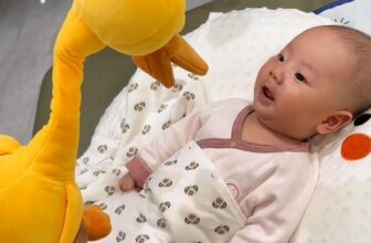 [🆕🇻🇳] BonBon Shop – Đồ Dùng Cho Mẹ Và Bé 🧑‍🧒❤️️👶⭐️  , shares-313✔️ , likes-13K❤️️ , date-2025-10-10 13:56:02🇻🇳🇻🇳🇻🇳📰🆕