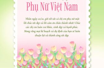 [🆕🇻🇳] Pet Store & Spa – Nhà Phô Mai – The home for pets 🐶🦜 Top1Pets 🐱🐠  Phụ nữ là đóa hoa đẹp nhất trong mọi hành trình.
Nhân ngày 20/10, 𝐍𝐡𝐚̀ 𝐏𝐡𝐨̂ 𝐌𝐚𝐢 xin gửi lời tri ân đến những người phụ nữ luôn yêu thương, chăm sóc, không , shares-0✔️ , likes-7❤️️ , date-2025-10-20 17:15:04🐶🐱🇻🇳🇻🇳🇻🇳📰🆕