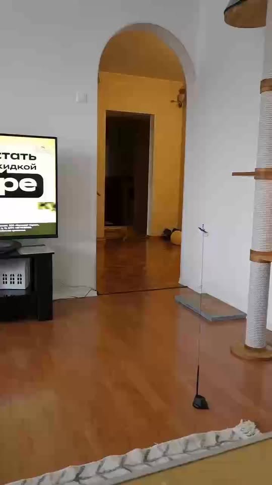 [🆕🇻🇳] Ruby Pet – Spa & Coffee 🐶🦜 Top1Pets 🐱🐠  , shares-0✔️ , likes-4❤️️ , date-2025-10-24 01:08:22🐶🐱🇻🇳🇻🇳🇻🇳📰🆕