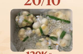 [🆕🇻🇳] Mộng Dừa – Chuyên Sỉ & Lẻ – Modubet Food – Ăn vặt Healthy – Món lạ món ngon- Chuyên Phân phối cung cấp Mộng dừa Bến Tre SLL 🍔 Top1Food  🍜 20/10 Quốc tế Phụ Nữ !!!!
– Kính chúc tất cả chị em luôn xinh gái.
– Luôn được các anh chồng,ny cưng và chiều.
– Mãi luôn hạnh phúc và thiệc nhiều xi , shares-1✔️ , likes-1❤️️ , date-2025-10-20 21:43:53🇻🇳🇻🇳🇻🇳📰🆕