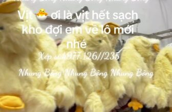 [🆕🇻🇳] Tiệm Mẹ Bắp 🧑‍🧒❤️️👶⭐️ Em về lô mới mai quay sỉ nhé  #nhung
Zalo:0977126235 , shares-0✔️ , likes-5❤️️ , date-2025-10-15 05:33:23🇻🇳🇻🇳🇻🇳📰🆕