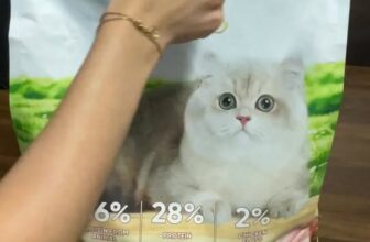 [🆕🇻🇳] An Việt Tiến 🐶🦜 Top1Pets 🐱🐠  5PLUS CATMIX CHICKEN FLOSS RUỐC NHIỀU HƠN, MÈO MÊ HƠNCác sen ơi, Catmix comeback phiên bản mới toanh nè
TĂNG RUỐC GÀ, thơm hơn, hấp dẫn hơn, mà GIÁ K , shares-0✔️ , likes-10❤️️ , date-2025-10-15 20:18:35🐶🐱🇻🇳🇻🇳🇻🇳📰🆕