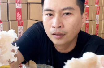 [🆕🇻🇳] Hữu Tài Cake – Bánh In Nhân Dừa Non 🍔 Top1Food  🍜 Bánh in ngày xưa ba mẹ em làm sao giờ em làm vậy  Hữu Tài Cake , shares-0✔️ , likes-6❤️️ , date-2025-10-21 22:58:14🇻🇳🇻🇳🇻🇳📰🆕