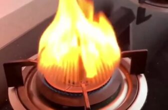 [🆕🇻🇳] Su An Kids – Phân phối Sỉ & Lẻ Quần áo trẻ em hàng Quảng Châu CC, VNTK 🧑‍🧒❤️️👶⭐️ Mẹo vặt sửa chữa trong cuộc sống #xuhuong , shares-0✔️ , likes-0❤️️ , date-2025-10-24 17:55:42🇻🇳🇻🇳🇻🇳📰🆕