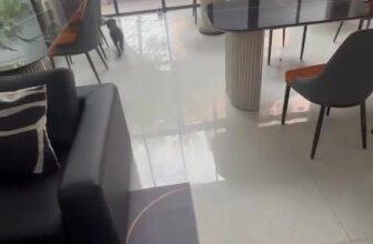 [🆕🇻🇳] Phòng Khám Thú Y 24H Đà Nẵng My Pet Clinic 🐶🦜 Top1Pets 🐱🐠  TÌM CHỦ CHO BÉ CÚN ĐI LẠCMột du khách đi du lịch đã nhặt được bé cún màu đen, rất ngoan và thân thiện gần khu Sala Apartment – Sơn Trà, Đà Nẵng.
Hiện b , shares-0✔️ , likes-18❤️️ , date-2025-10-26 23:36:42🐶🐱🇻🇳🇻🇳🇻🇳📰🆕